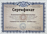 Сертификат Ксения Кожикина