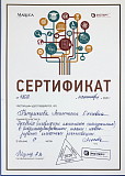 сертификат эксперт