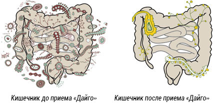 дайго имдж1.jpg дайго имдж1.jpg
